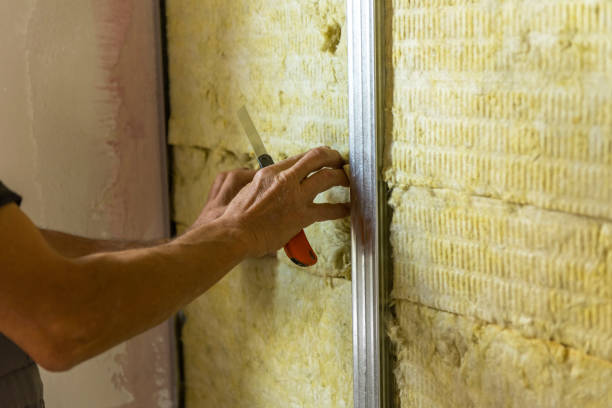 Mold Inspection